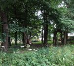 Worsley Footpath Salford